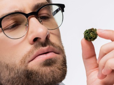 HOW TO STOP USING CANNABIS