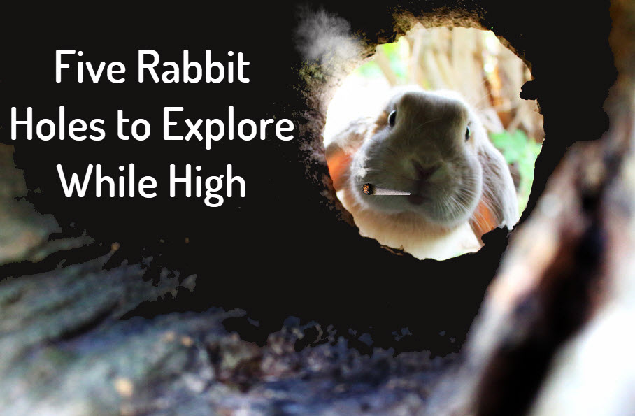 RABBIT HOLES TO THINK ABOUT WHEN HIGH OR STONED