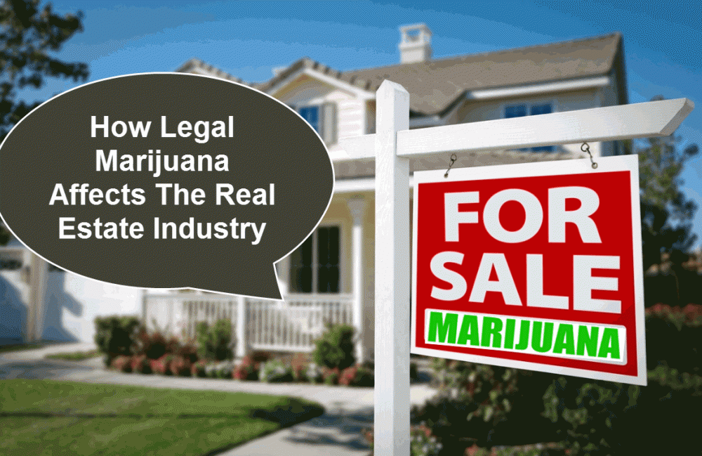 REAL ESTATE CANNABIS STATES