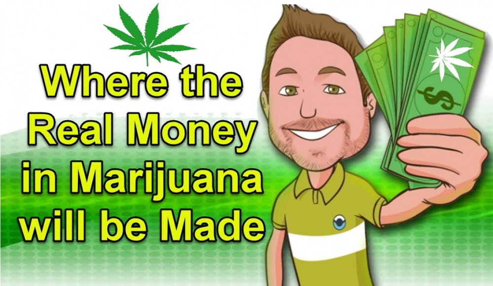 WHERE TO MAKE MONEY IN CANNABIS