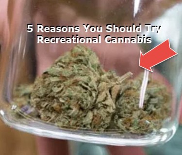 REASONS TO TRY RECRATIONAL CANNABIS