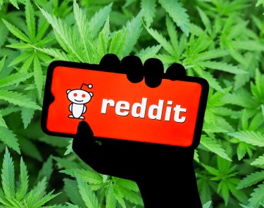 reddit cannabis study