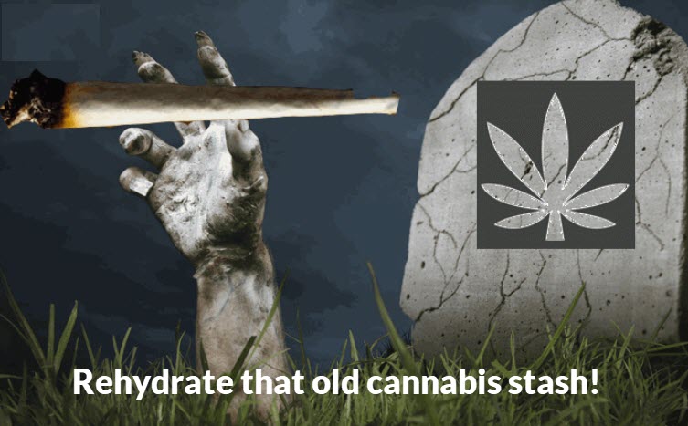 rehydrate cannabis