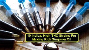 RICK SIMPSON OIL HIGH THC CANANBIS STRAINS