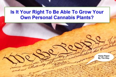 CONSTITUTIONAL RIGHT TO GROW CANNABIS