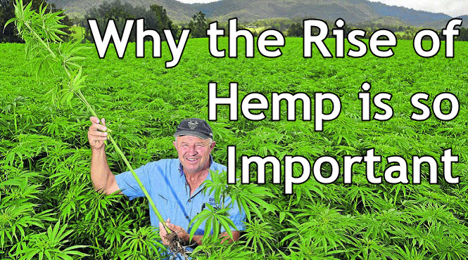 WHY IS HEMP IMPORTANT