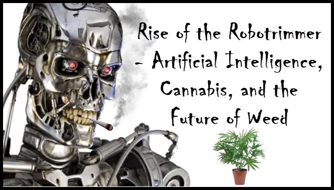 ROBOTRIMMERS IN MARIJUANA