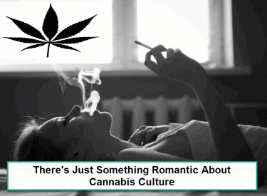 THE LURE OF CANNABIS CULTURE