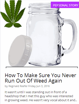 RUN OUT OF WEED NEVER