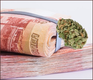 Andrey Muraviev cannabis money