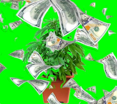 WINNERS FOR SCHEDULE 3