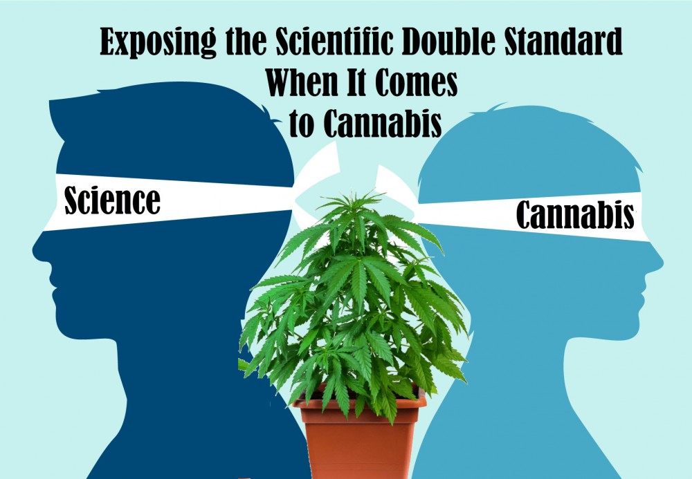 double standard cannabis 