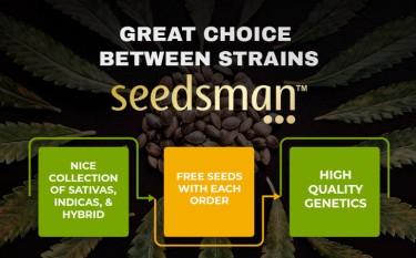 seedman cannabis seeds review