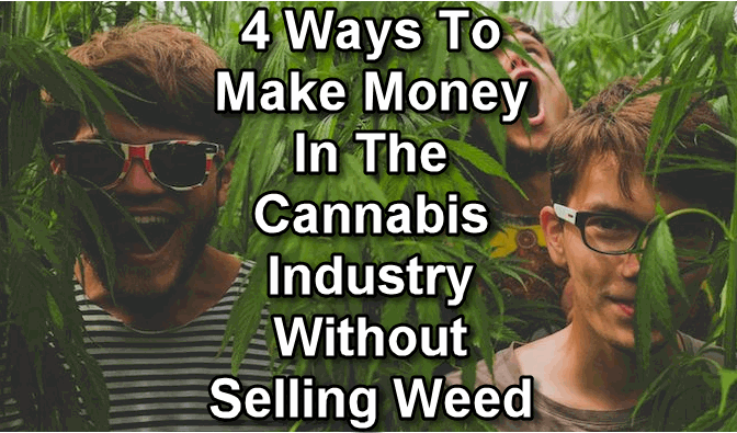 WAYS TO MAKE MONEY IN CANNABIS WITHOUT SELLING WEED