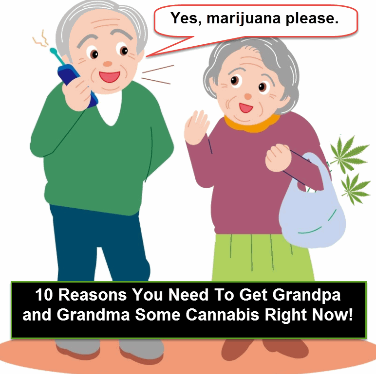 ELDERLY AND MEDICAL MARIJUANA