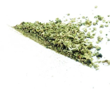 cannabis kief and shake
