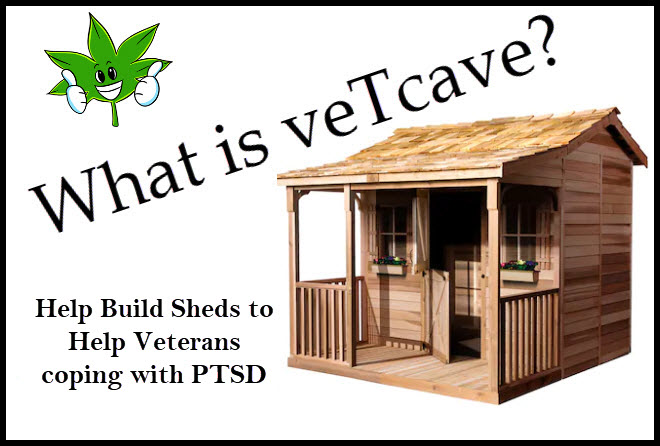 veterans building sheds for ptsd