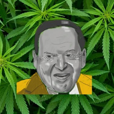 Adelson on marijuana