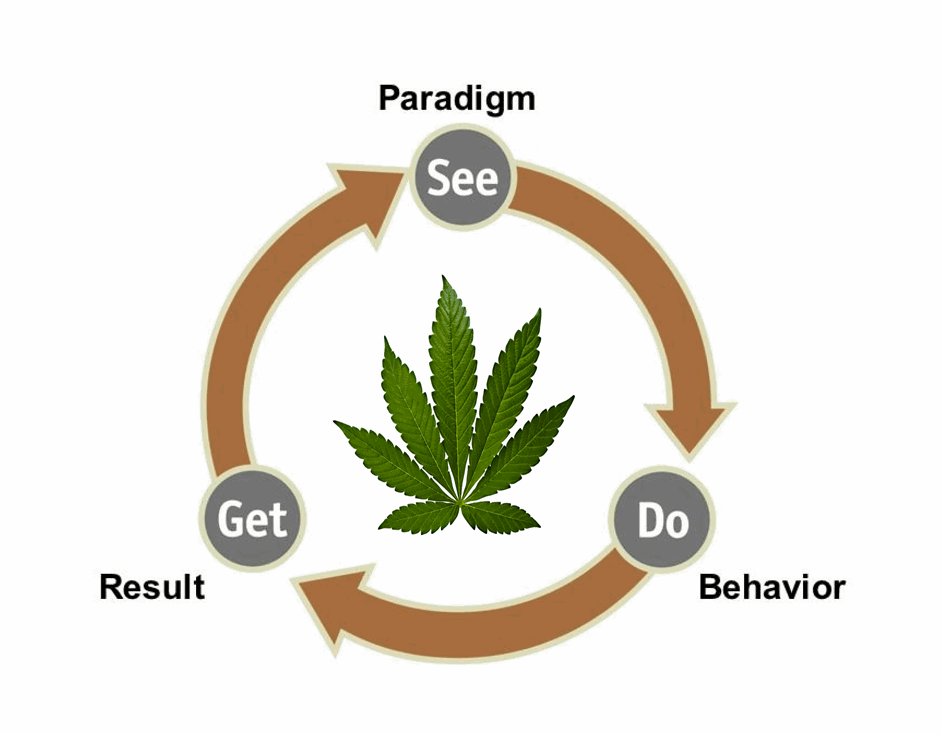 how cannabis makes you think differently