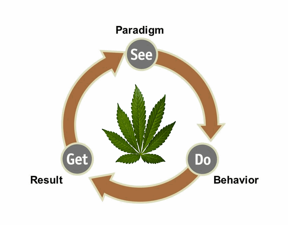 CANNABIS LEADS TO A PARADIGM SHIFT