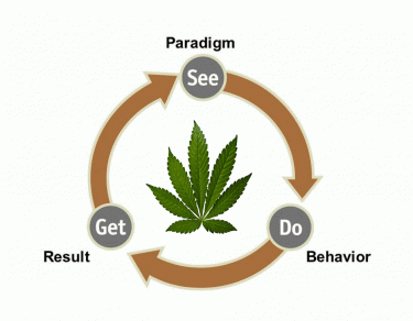 THE MARIJUANA CANNABIS PARADIGM