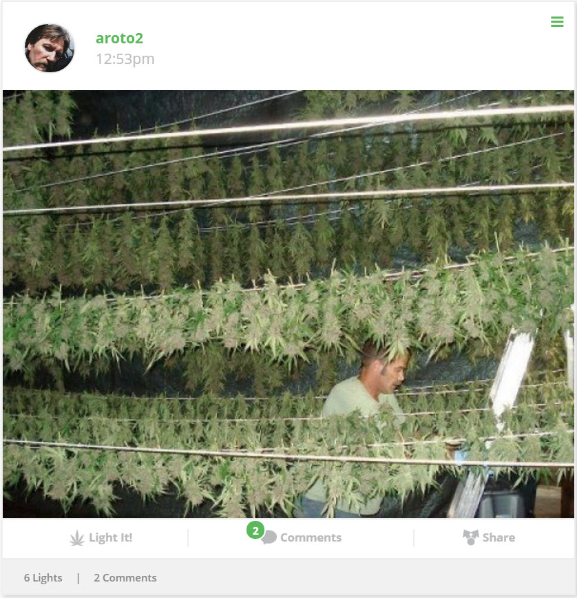 marijuana social network grow