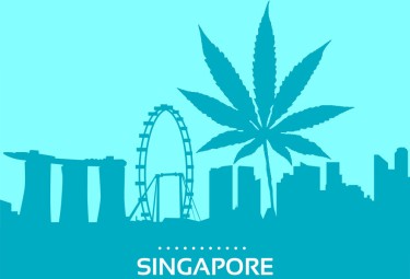 singapore legalizes marijuana cannabis 
