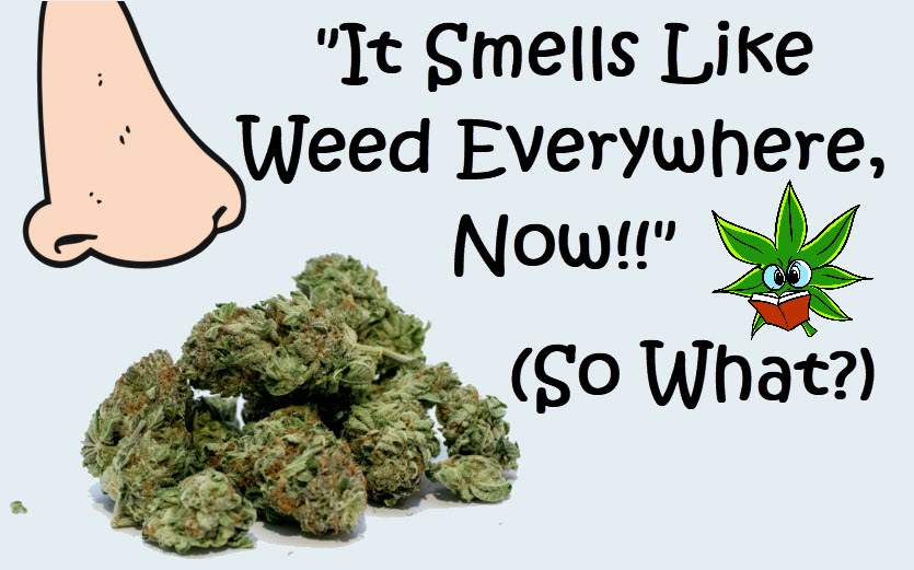 SMELLY WEED SMELL EVERYWHERE NOW