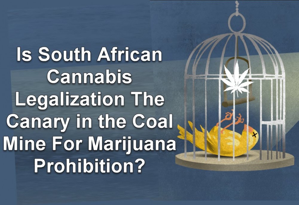 SOUTH AFRICAN CANNABIS LEGALIZATION