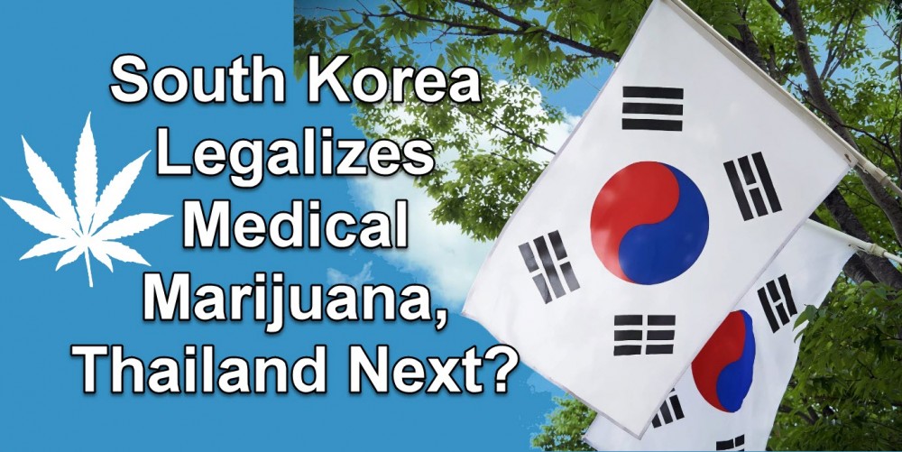 SOUTH KOREA LEGALIZES MEDICAL MARIJUANA