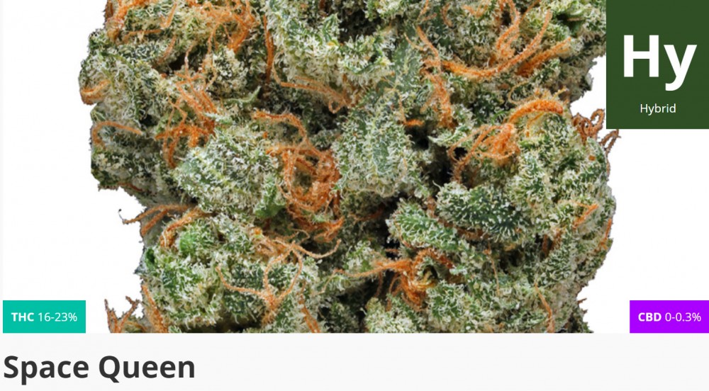 space queen strain