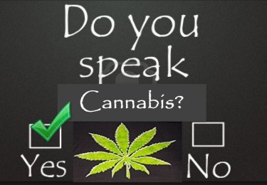 DO YOU SPEAK CANNABIS