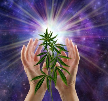 spiritual cannabis evolution