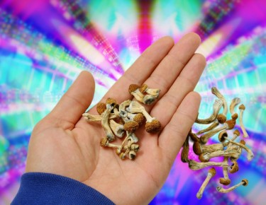 state legal psychedelics vs the Federal government