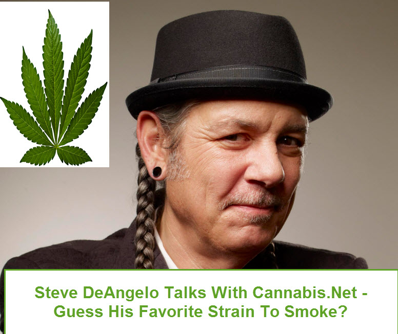 STEVE DEANGELO ON CANNABIS