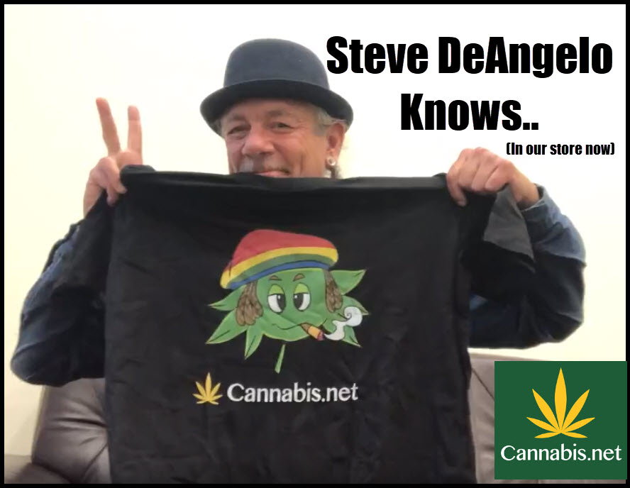 steve deangelo on marijuana and harborside shirts