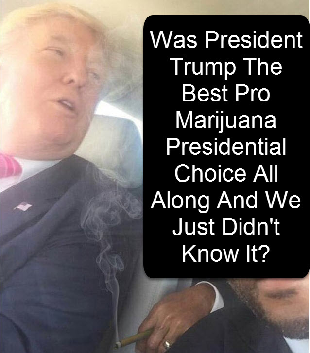 trump and legalizing weed