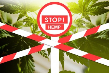 stop hemp in Humboldt