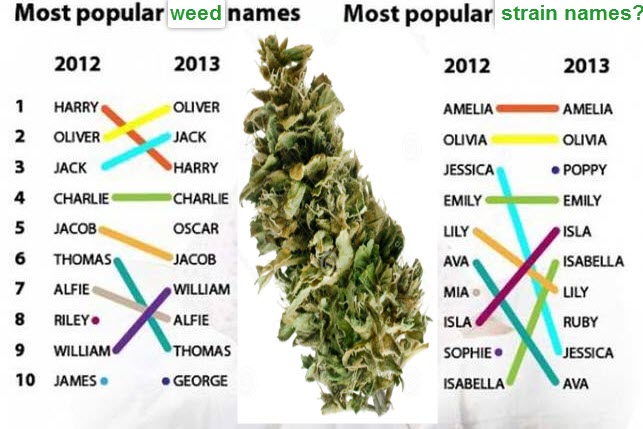 HOW TO NAME A MARIJUANA STRAIN