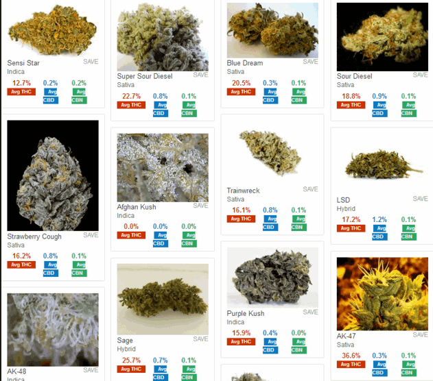 SOFTWARE FOR CANNABIS STRAINS