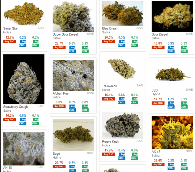 marijuana strains