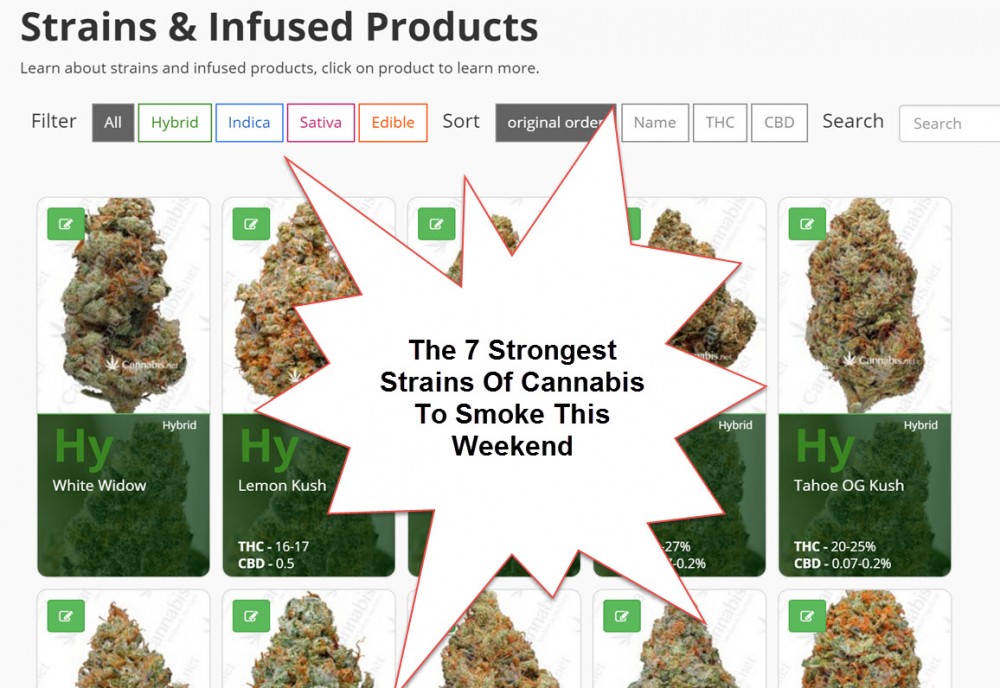 STRONGEST CANNABIS STRAINS TO SMOKE