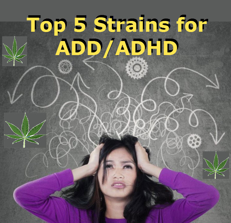 STRAINS FOR ADD