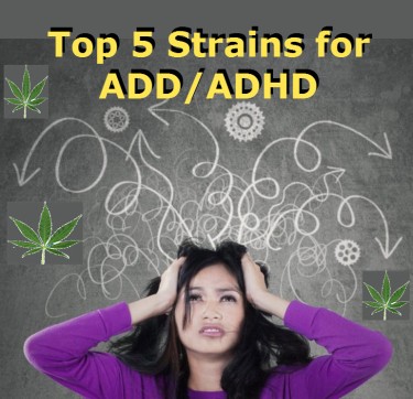 CANNABIS STRAINS FOR ADHD