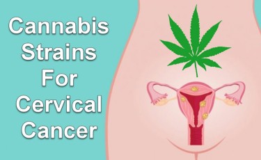 Marijuana Strains Cervical Cancer