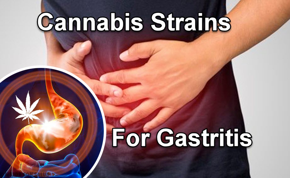 strains for gastritis