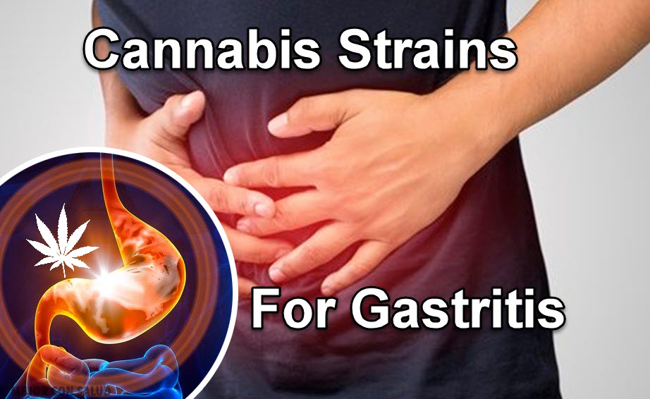 MARIJUANA STRAINS FOR GASTRITIS