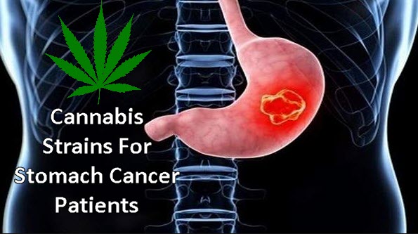 cannabis strains for stomach cancer