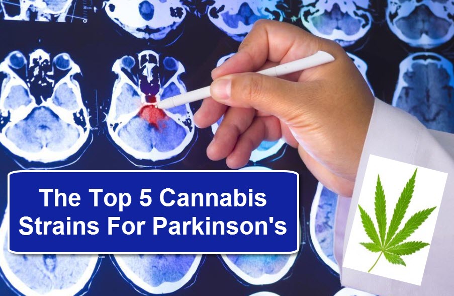 cannabis strains for parkinson's