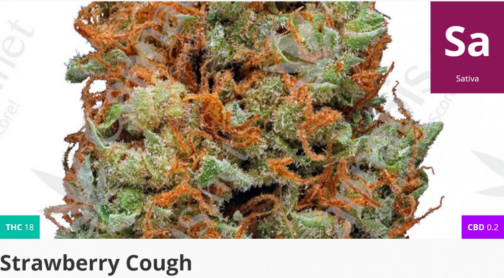 strawberry cough cannabis